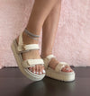 TRACI-18 Ivory Off White Raffia