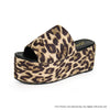 BUDZA-5 Leopard - ShoeNami