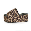 BUDZA-5 Leopard - ShoeNami
