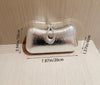 SUSSIE CLUTCH BAG SILVER