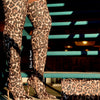 GISELE-7B Leopard - ShoeNami