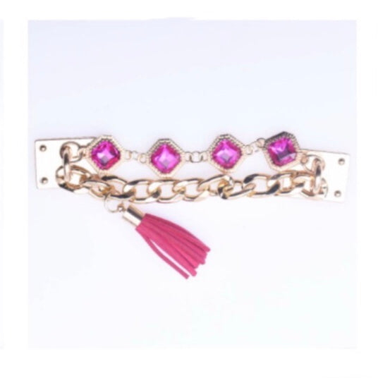 CHAIN SHOE CHARMS - GOLD HEAVY CHAIN FUCHSIA GEMS TASSEL - ShoeNami