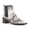 CELINE Snake - ShoeNami