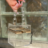 ICE BOX PURSE Clear - ShoeNami