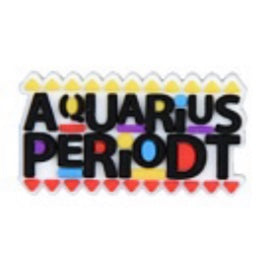 SHOE CHARMS - AQUARIUS PERIODT - ShoeNami