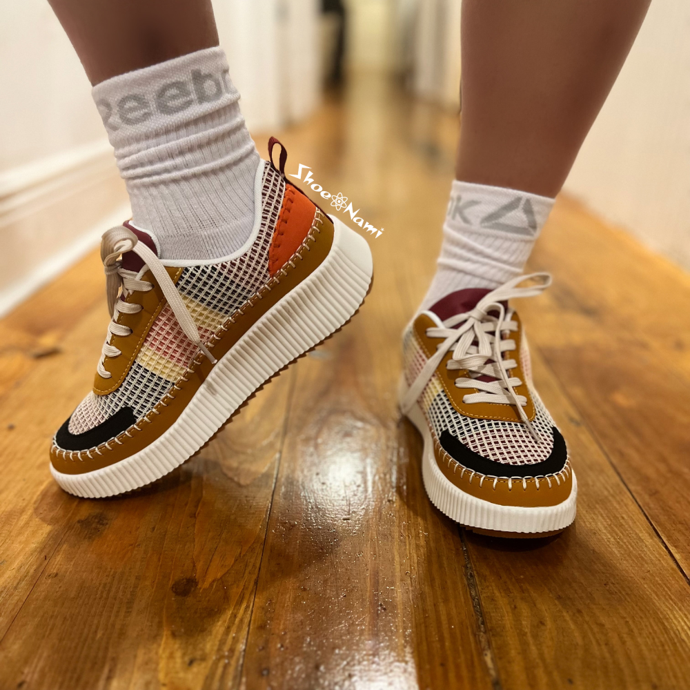 TIMELESS-12 Tan Maroon Multi - ShoeNami