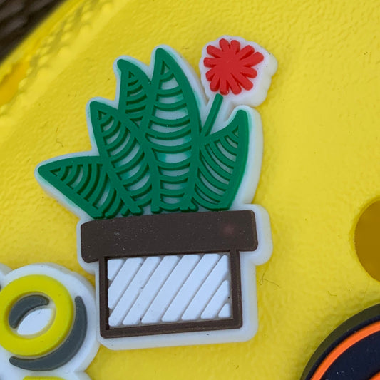 SHOE CHARMS - SUCCULENT - ShoeNami